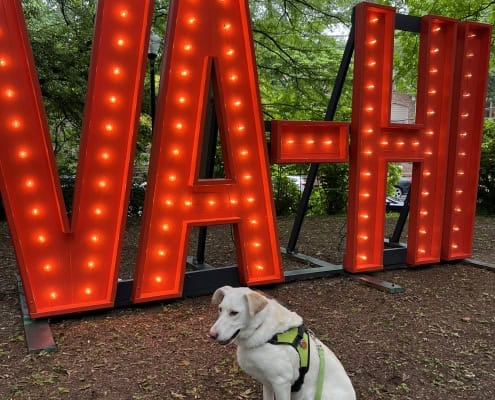 Jeff Payne's best friend Mishka to Russian dog in front of the giant VA-HI lighted sign in John Howell Park.